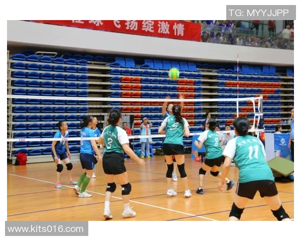 南京排球队在全国排球团队协作排行榜中荣获第九名展现出色团队精神与实力