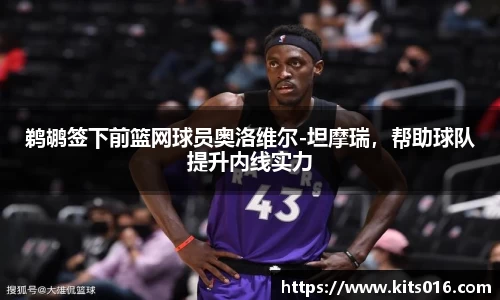 鹈鹕签下前篮网球员奥洛维尔-坦摩瑞，帮助球队提升内线实力